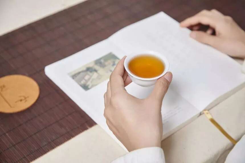 以润茶识 |“茶气”与“茶韵”，如何区分？