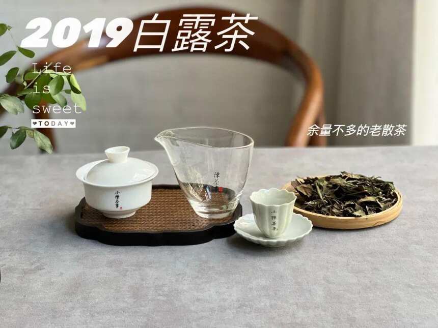 清盈、空灵，稠滑似浆，2019白露茶，来自三年前仲秋的清梦星河，