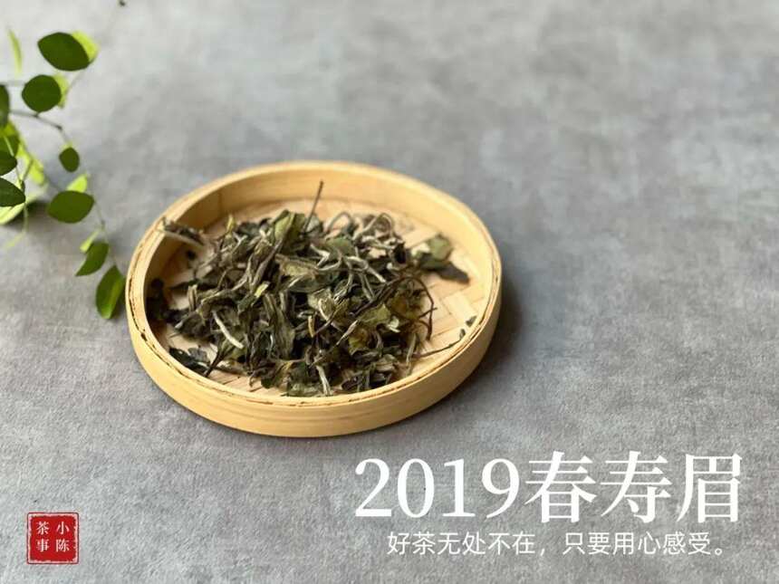 秀美清灵，丽色天成。2019春寿眉散茶，三年前结下的木石前盟