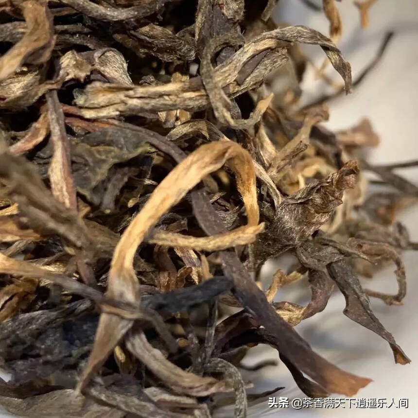 2015年老曼峨大树茶，有一筐20公斤左右！全买的送