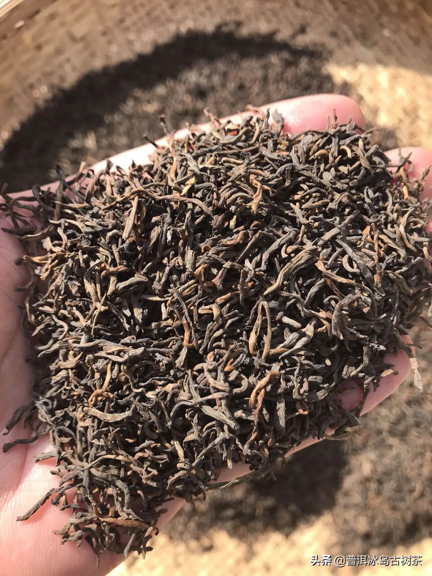 98年勐海古树宫廷熟茶，陈香浓醇，完美转化！#普洱茶