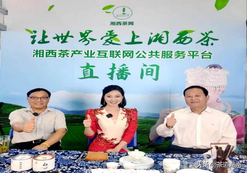 湘西茶网 世界共享——湘西茶产业互联网综合服务平台在正式启动