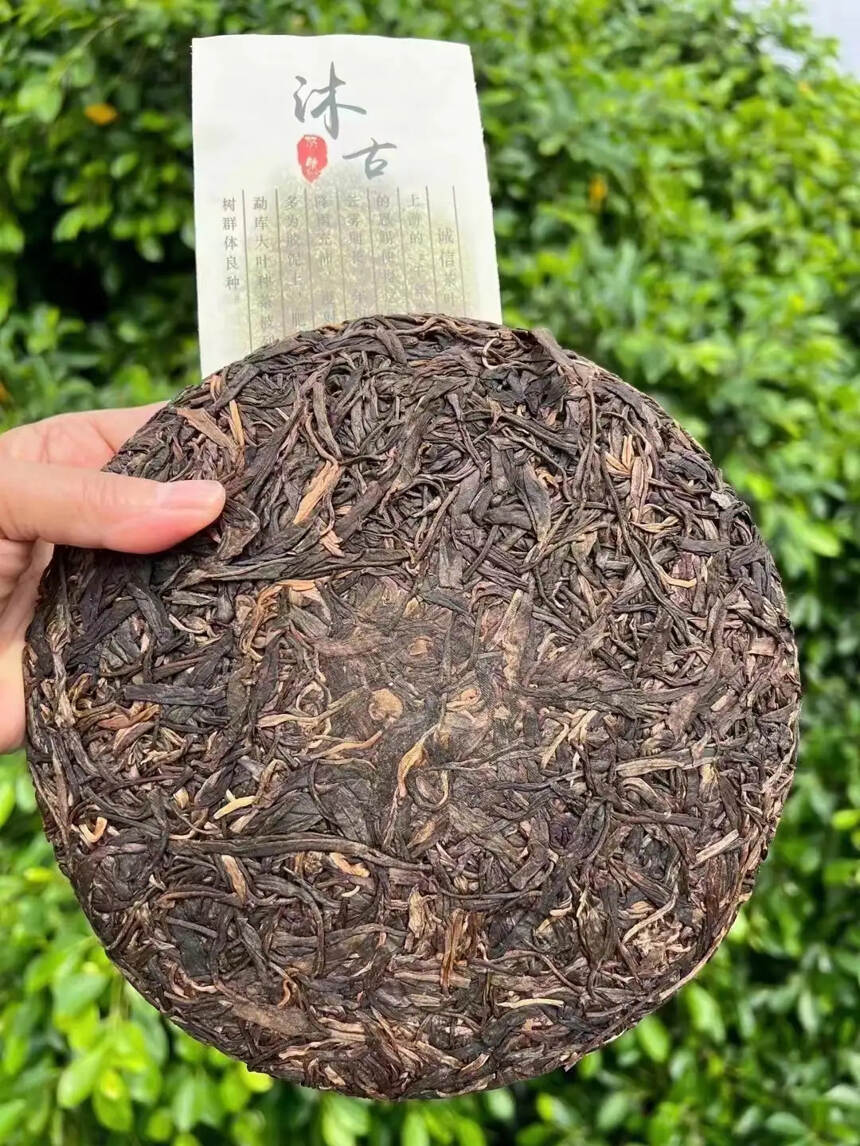选用云南昌宁黄家寨古树群大树茶做原料，真正古树料、古