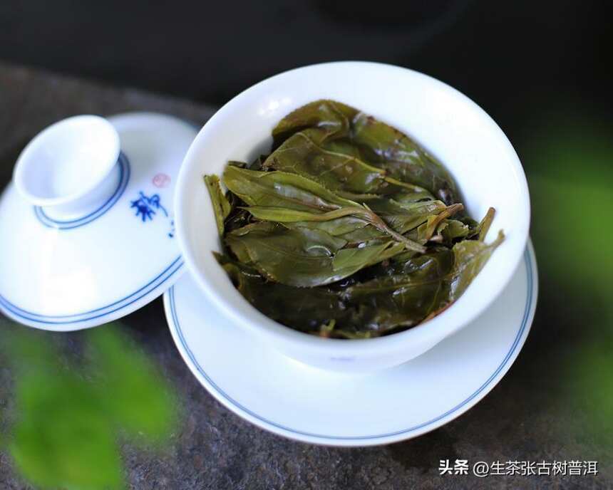 千年古茶园——景迈，其古树普洱茶有哪些特点？
