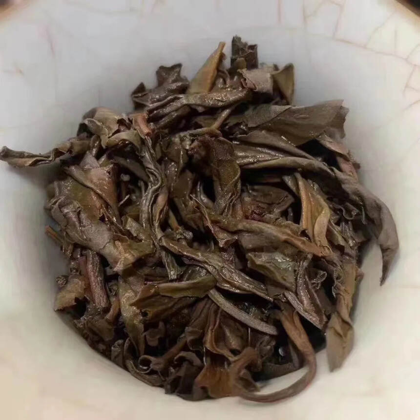 #普洱茶# 1998年-原野香-班章茶山中国茶业公司