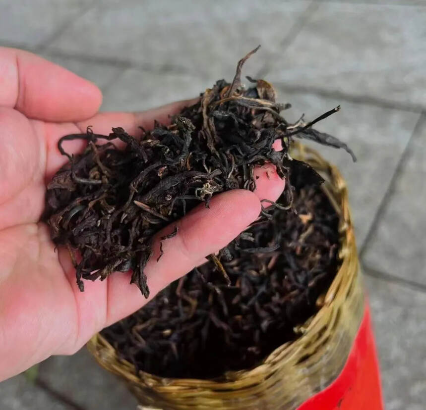 06年冰岛古树茶柱2公斤左右一条#上海头条# #发现