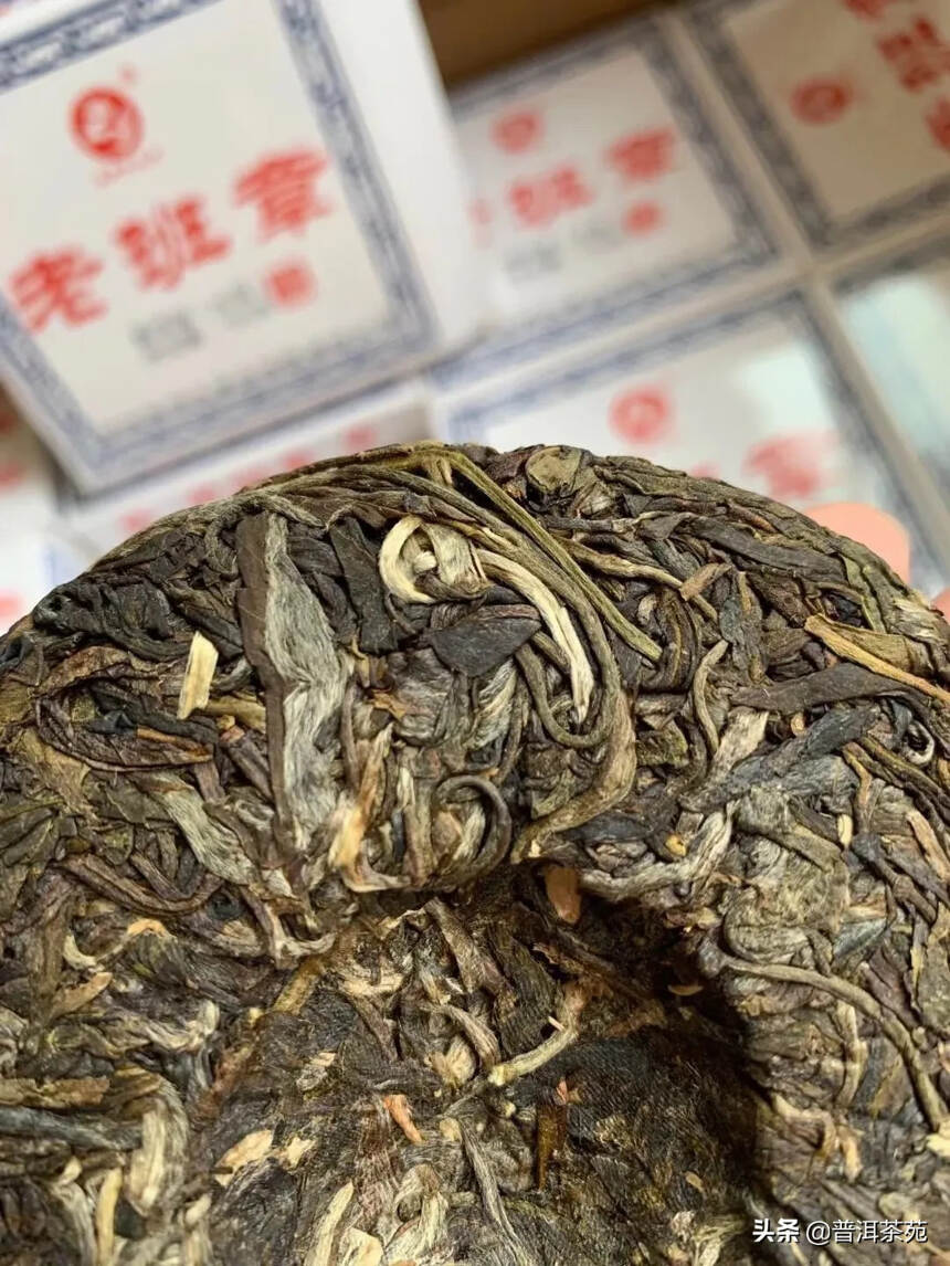 2017年老班章生茶小饼，100克/片，口粮茶！#普
