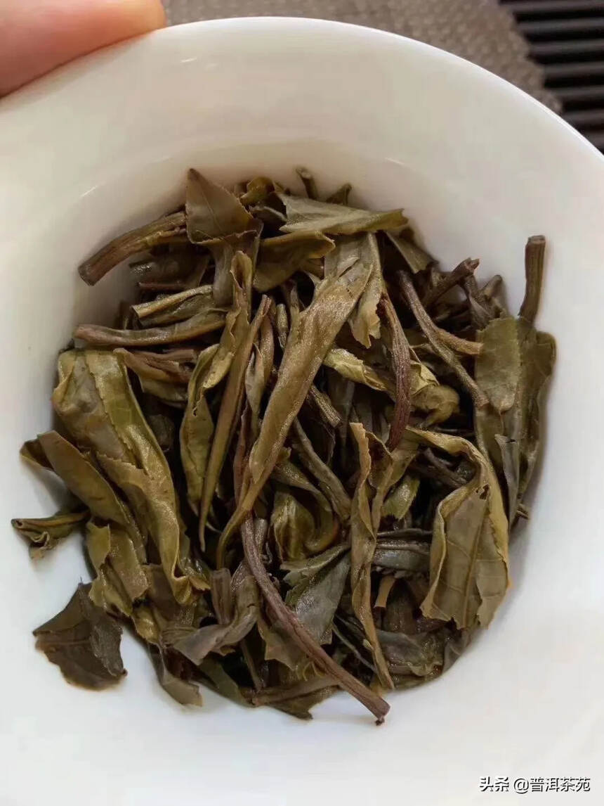 2016年曼松380，生茶，357克/片#普洱茶#