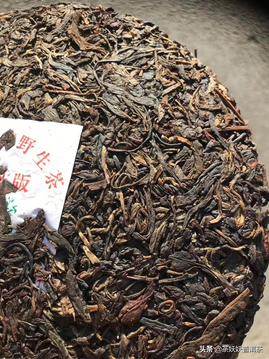 04年新文茶厂绿大树，易武正山野生茶原料，香气挂杯持