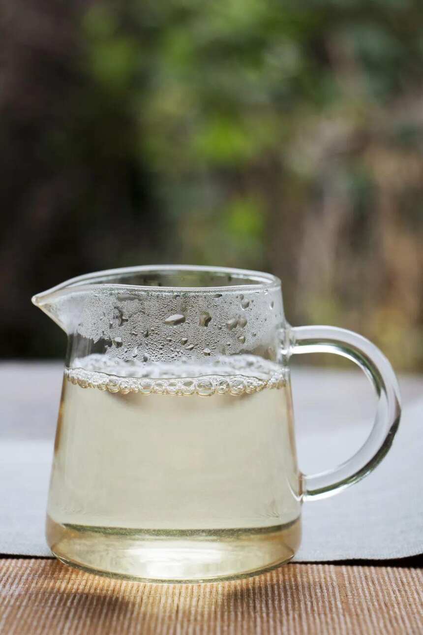 关于白茶，有哪些必知冷知识？