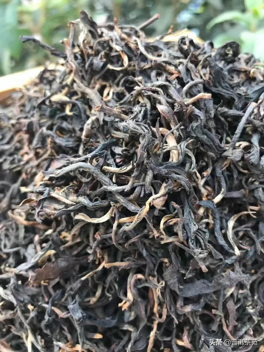 2019年古树红茶#茶生活# #普洱茶#