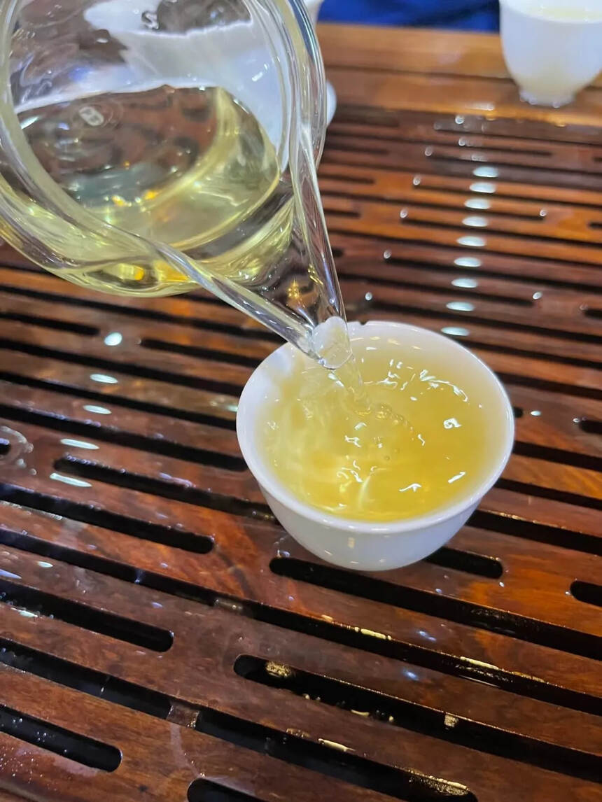 2020年帕沙古树白茶。甜蜜香高。#广州头条# #普