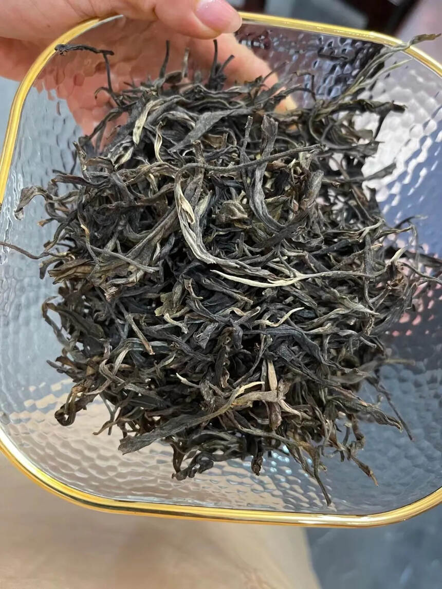 2017年缅甸野人山古树茶。#普洱茶# #茶生活#