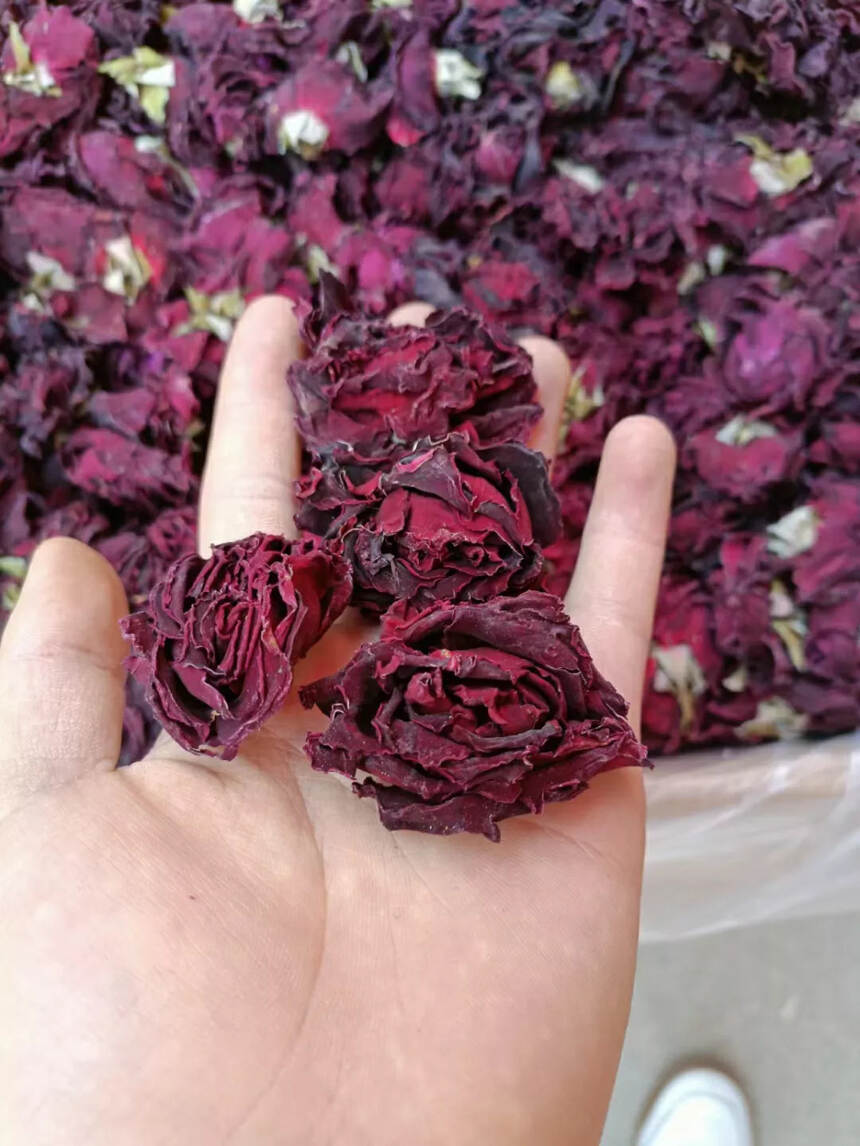 墨红玫瑰〈新花上市〉
玫瑰花能有效地消除自由基，消除