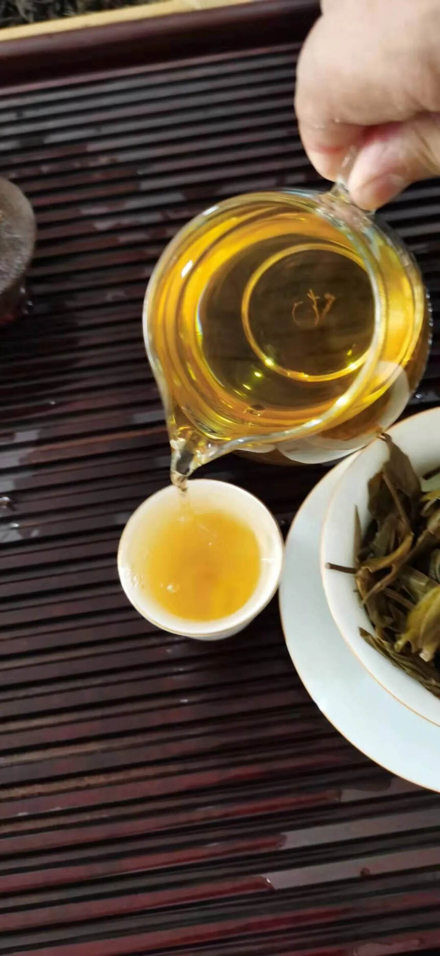 2017年拔玛古树春茶。点赞评论送茶样品试喝。#普洱