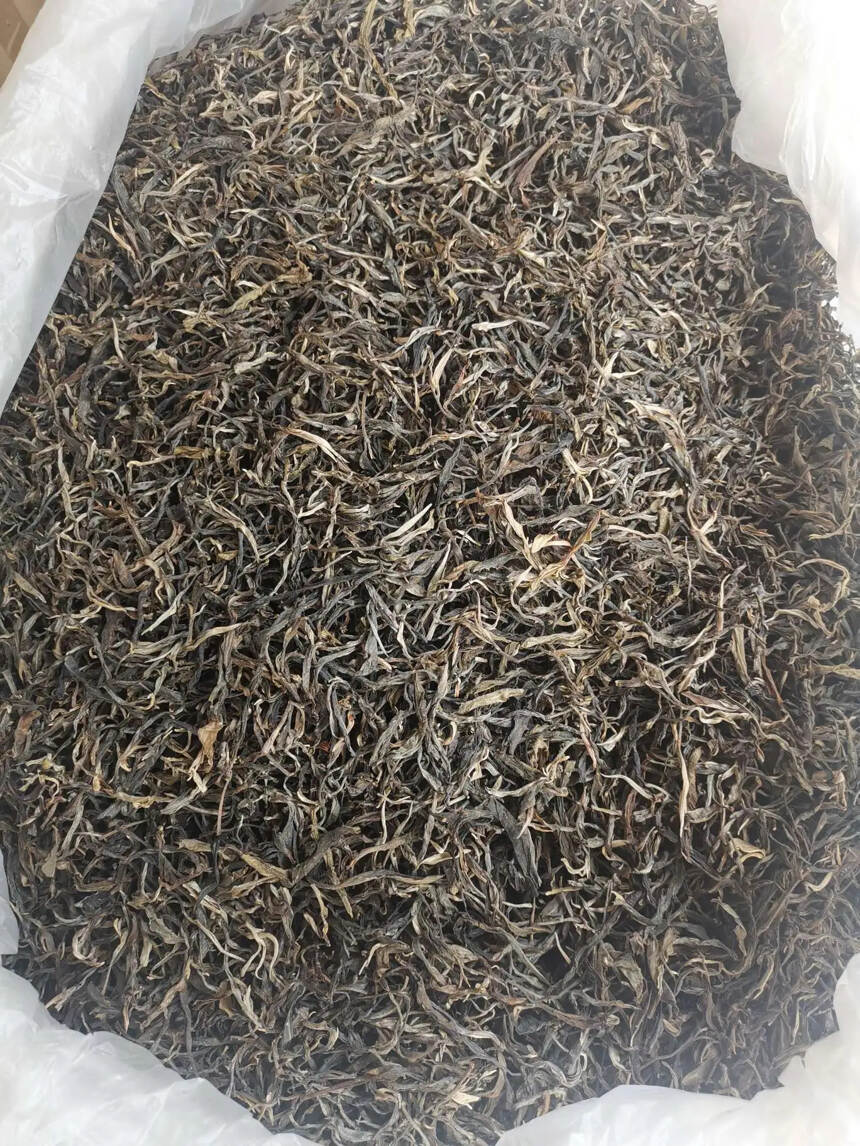 2019年缅甸古树茶。#普洱茶# #普洱# #茶生活