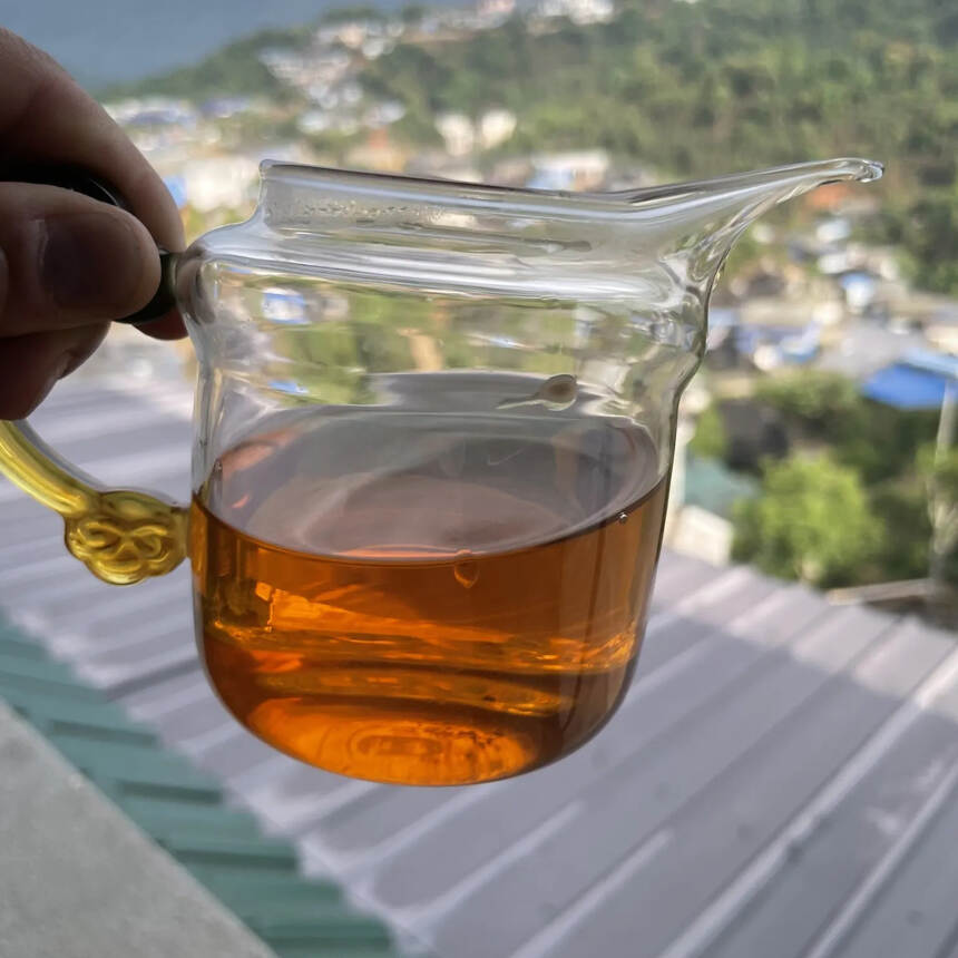 新茶严选：2021年帕沙乔木红茶，香浓甜足。#普洱茶