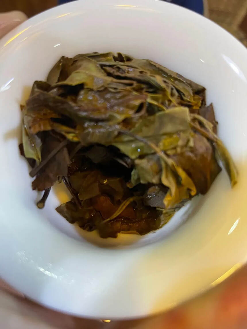 2020年帕沙古树白茶。甜蜜香高。#普洱茶# #普洱