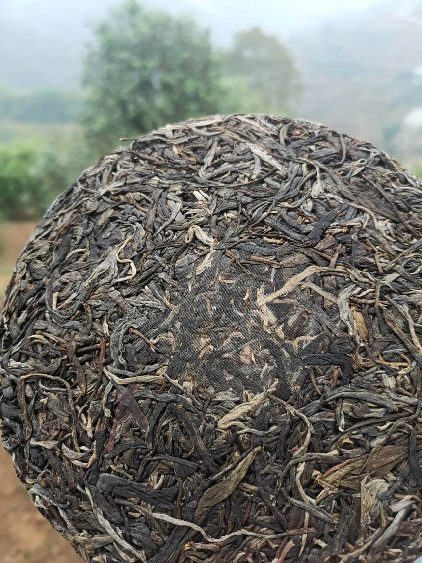 2017年那罕古树饼茶，邦东岩茶，以前皇帝陛下御用茶