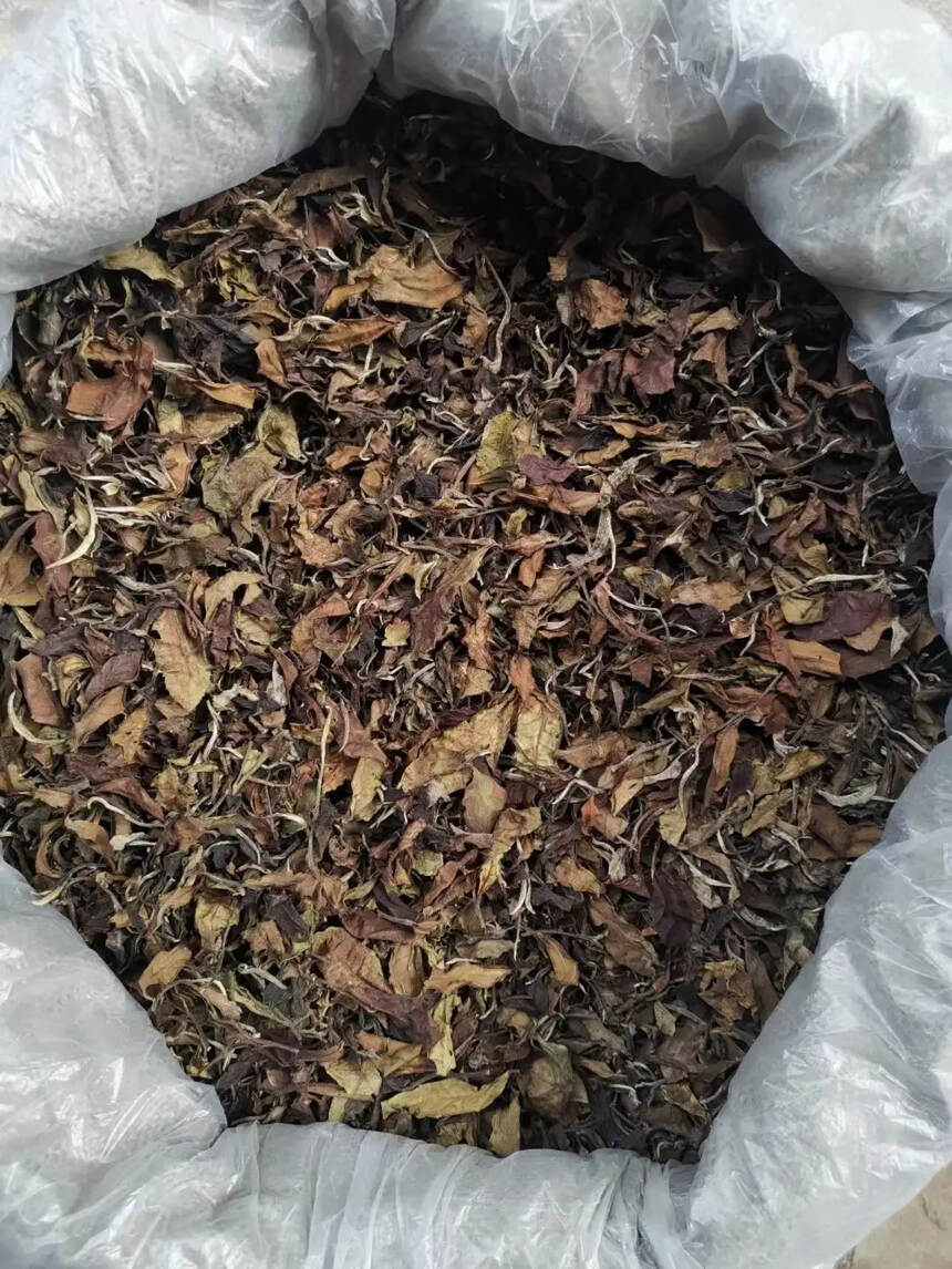 2019年曼西良大树白茶。点赞评论送茶样品试喝。#普