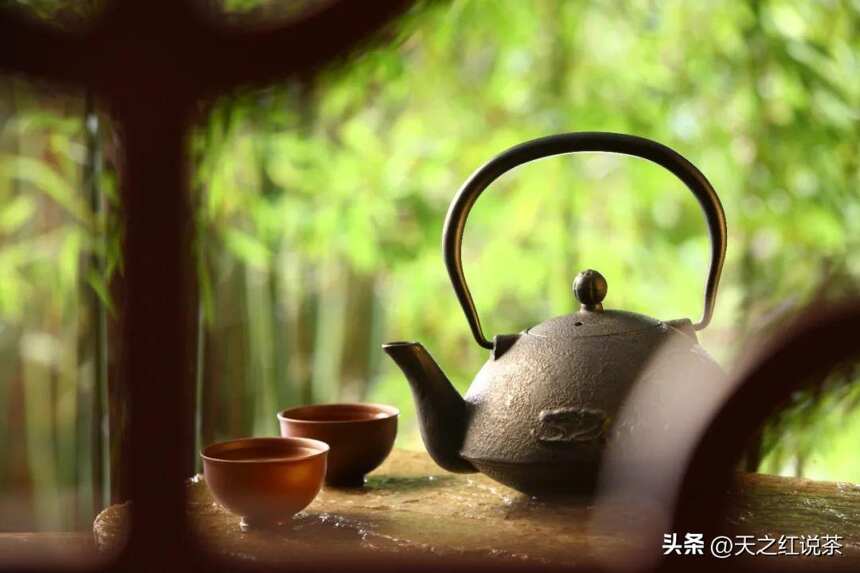 秋季，为何要喝更多的茶，喝不同的茶？