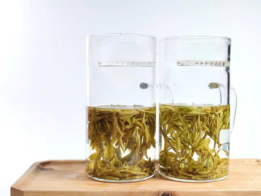 浙江两大绿茶的再度对决，中级安吉白茶与龙井茶对冲评测