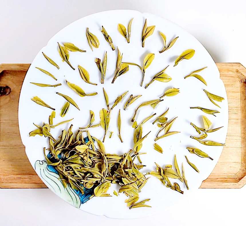 浙江两大绿茶的再度对决，中级安吉白茶与龙井茶对冲评测