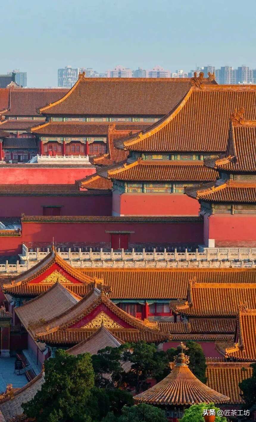 故宫&新华国茶 | 百年贡茶，将重回紫禁城