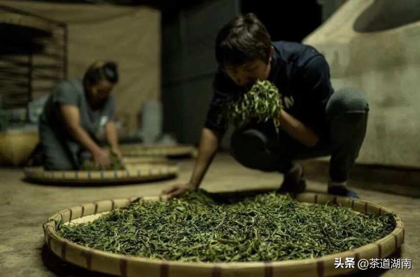 茶香列国 | 泰国：茶园美如绿野仙踪，喜欢腌茶入味？