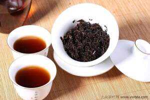 古茶树的价值与云南古茶树的分布