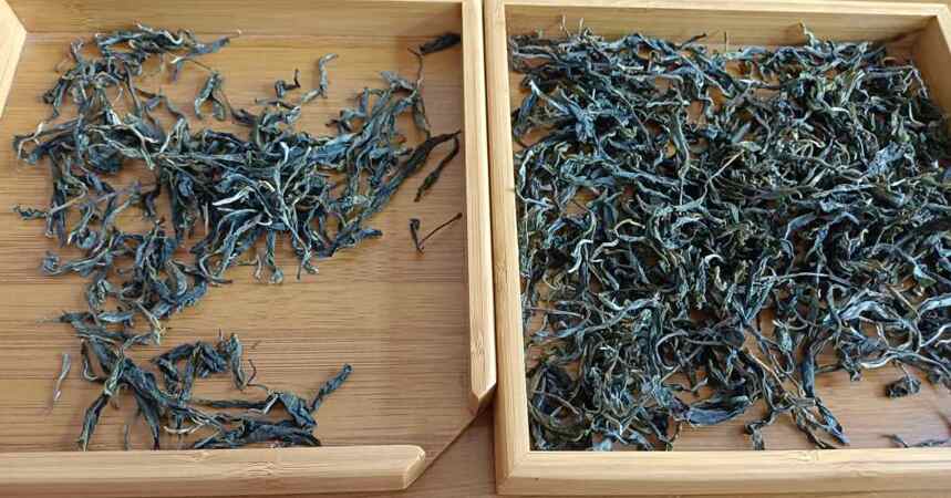 普洱茶圈灵魂拷问：是茶叶真的难卖？还是卖茶的太贪？