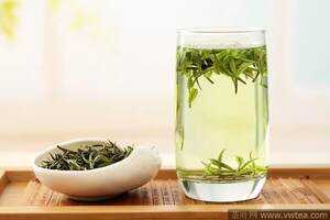 不是白茶的绿茶——安吉白茶