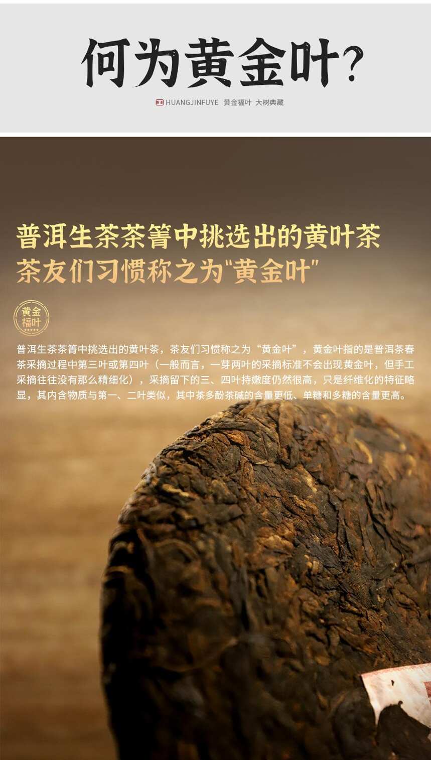 新品上市 | 福海2022年黄金福叶，大叶发酵，陈韵熟茶