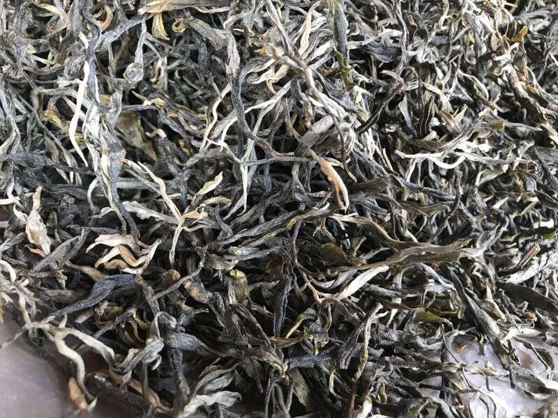 普洱古树茶有什么特点？为什么卖得那么贵？