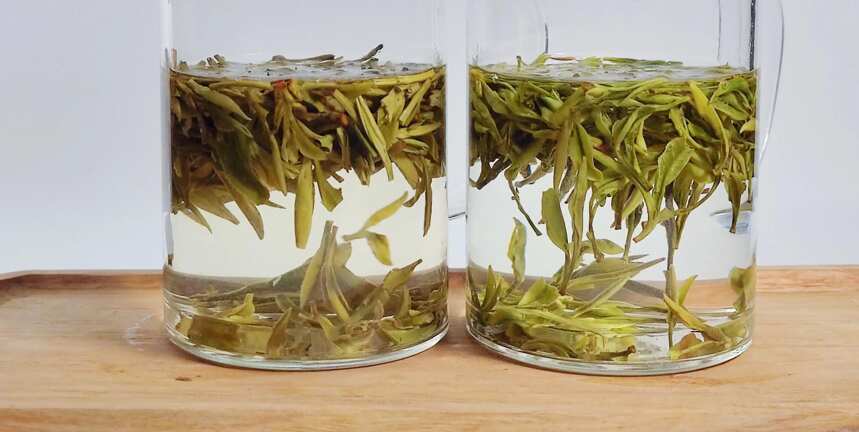 绿茶对冲 ▏浙江历史上的两大贡茶，顾渚紫笋与龙井茶，谁更好喝？