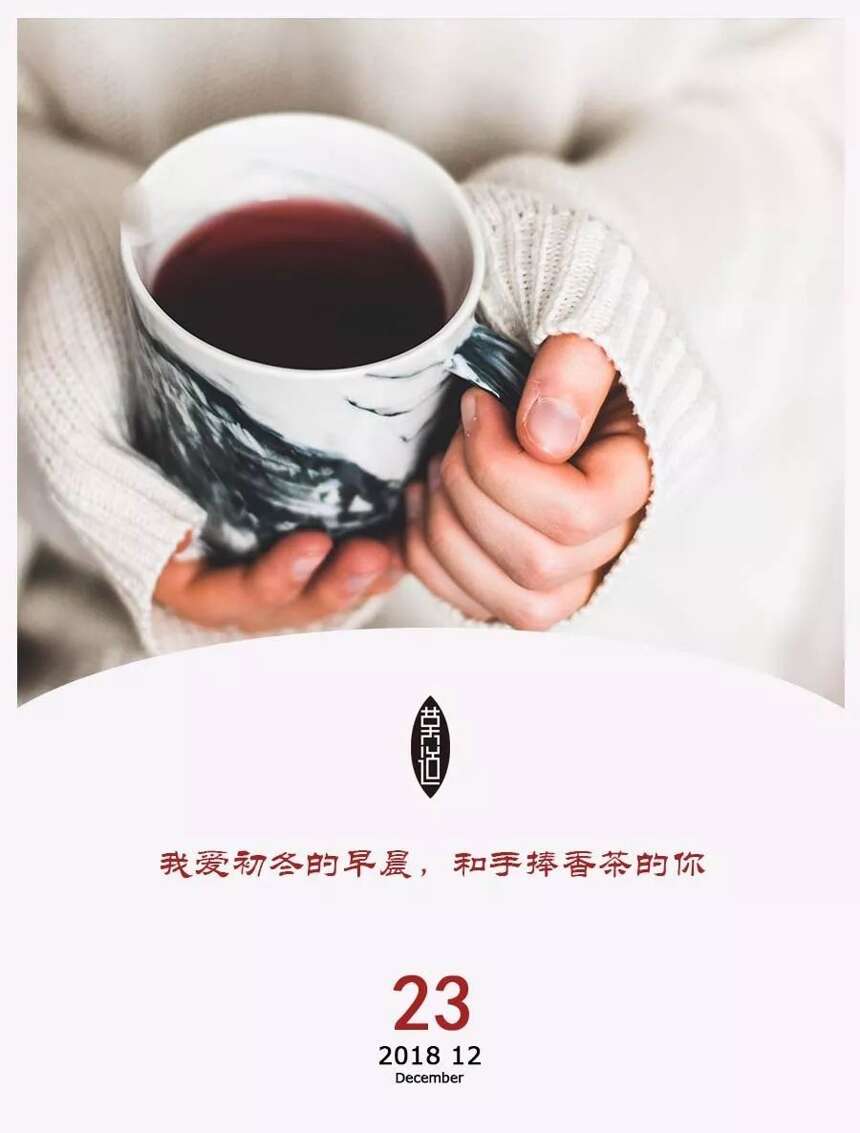 推荐10款养生茶让你的冬天不再寒冷