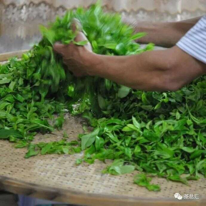 上亿人想知道一斤茶叶多少钱才算性价比高