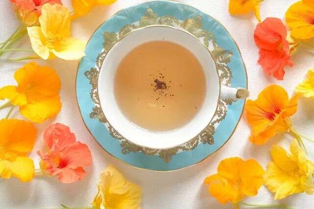 春天才是饮茶最养人的季节