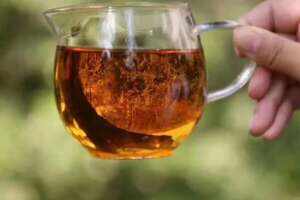 养胃的茶叶有哪几种（红茶普洱茶哪个养胃）