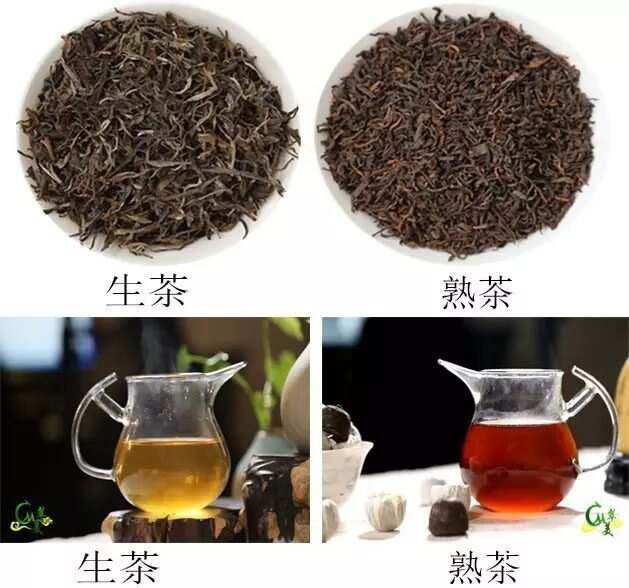 普洱茶是什么茶叶_怎么挑选正宗普洱茶?