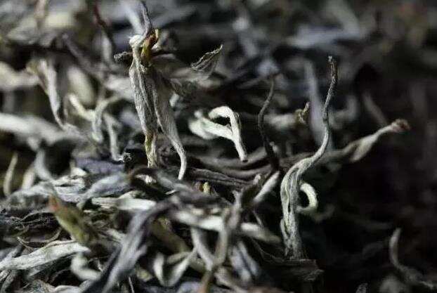 什么是普洱茶的前发酵？它是好是坏？