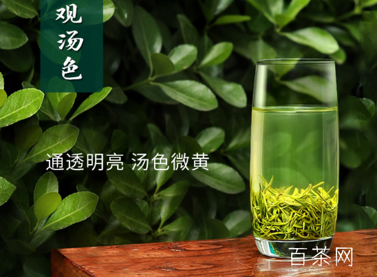 信阳毛尖属于什么茶？中国十大名茶之一的信阳毛尖是什么茶？