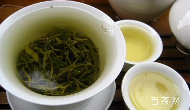 狮口银芽属于什么茶？