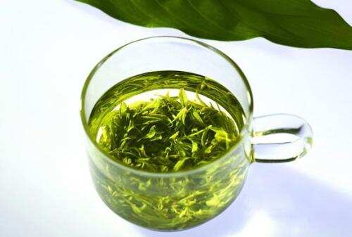 松针绿茶的功效与功效？松针绿茶叶如何喝？