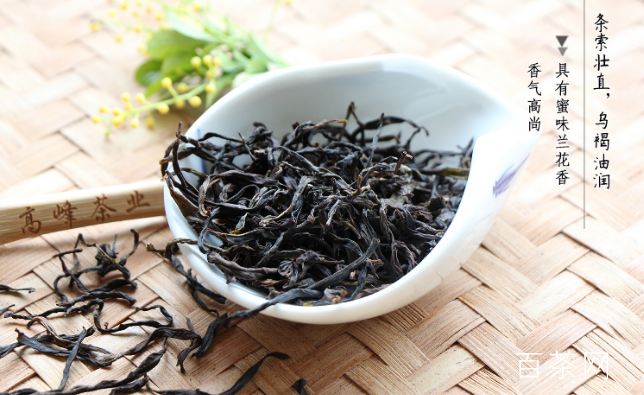 乌岽单丛茶是属于什么茶？