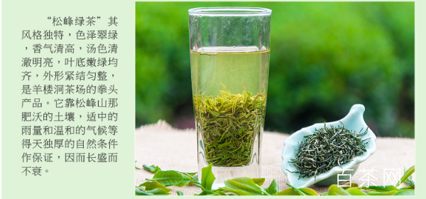 松峰绿茶价格是多少一斤？松峰绿茶冲泡方法