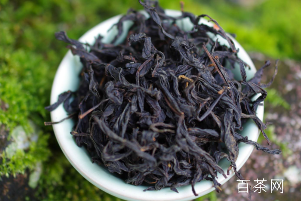 凤凰单枞茶属热性还是凉性？