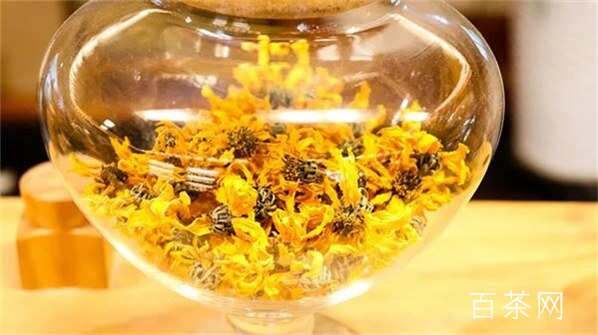 每天喝胎菊枸杞茶好吗？