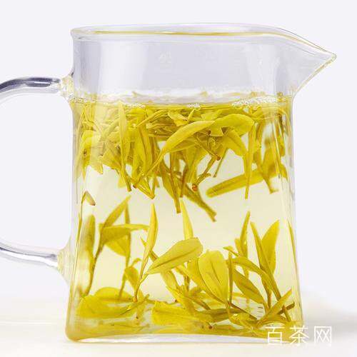 黄金芽茶属于什么茶？