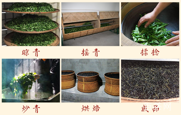 凤凰单枞茶的制作工艺过程